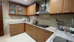 Carissa Park Condominium (D17), Condominium #466569021